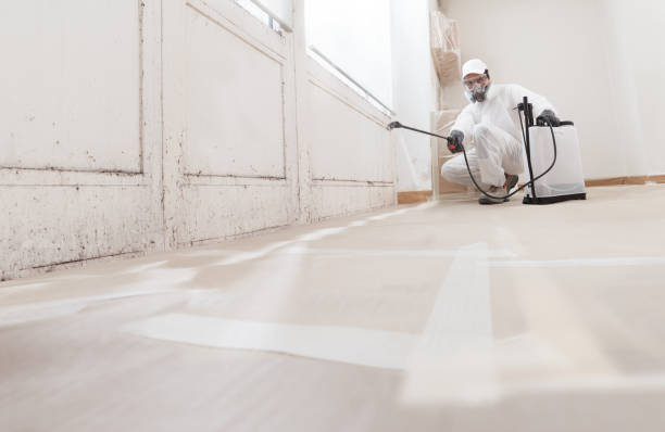 24/7 Emergency Black Mold Removal experts in Warminster, PA