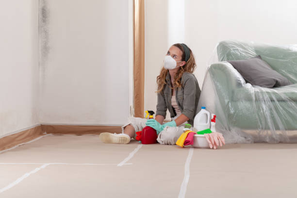 Reliable Mold Cleanup contractor in Warminster, PA by Cheap Mold Removal
